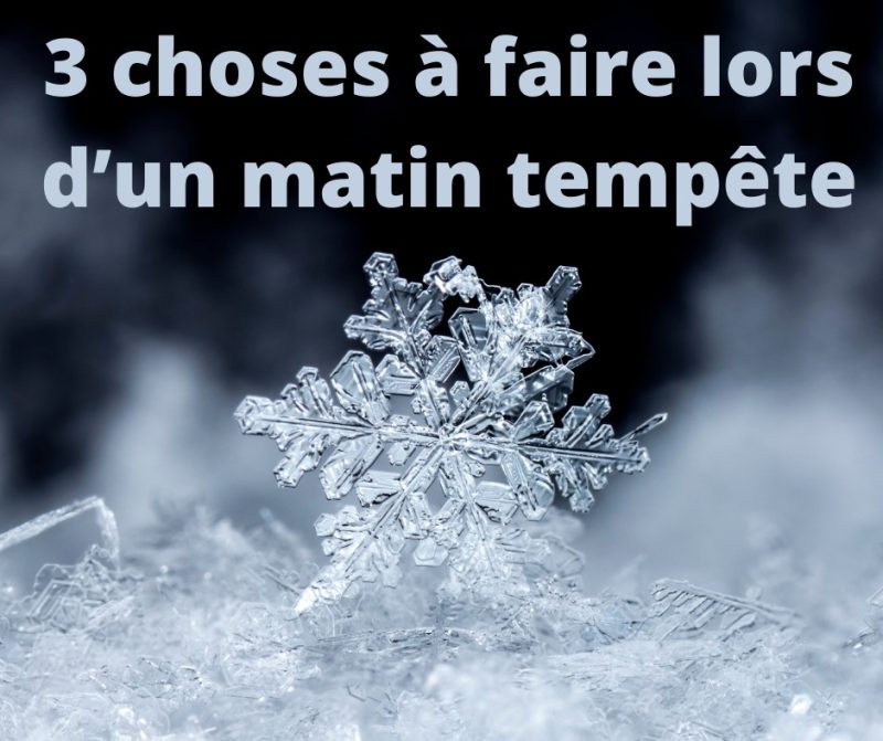 Image d'entête de l'article 3 choses à faire le matin d’une tempête!